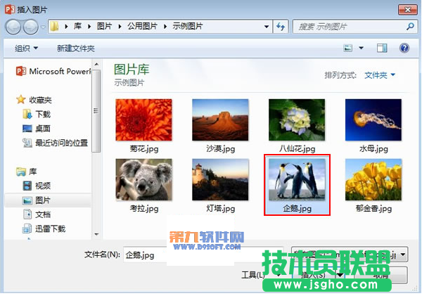 PowerPoint2013如何设置图片发光效果