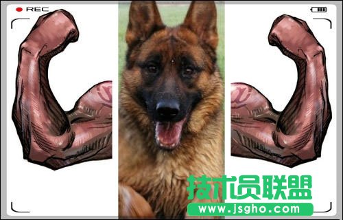 拼图不如拼创意 好照片给生活加点儿料 三联教程