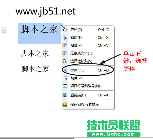 wps中如何添加字体以及修改字体的详细步骤介绍