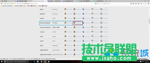 Win10 64位下火狐浏览器打开带flash网页卡死的解决步骤2