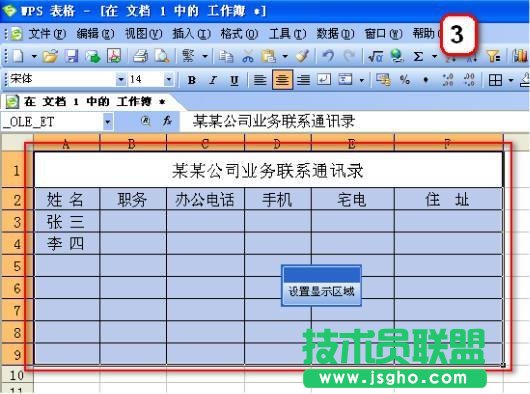 全部设置WPS文字中的表格也保护(2)