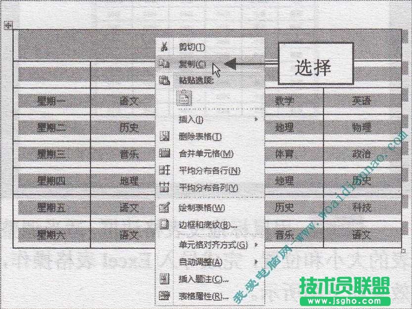 如何复制Word表格到PowerPoint中