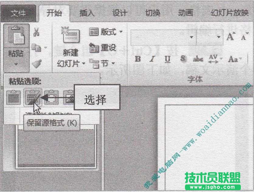 如何复制Word表格到PowerPoint中