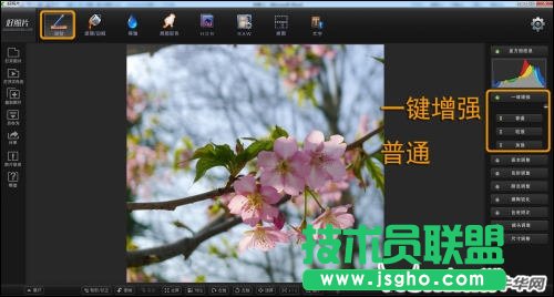 跟着好照片学后期 调出日系淡雅花卉