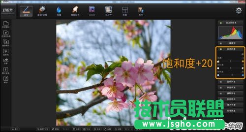 跟着好照片学后期 调出日系淡雅花卉
