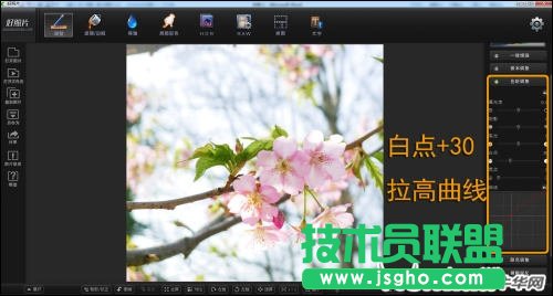 跟着好照片学后期 调出日系淡雅花卉