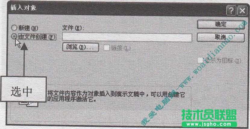 PowerPoint中如何导入Word表格