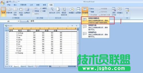 怎么让excel表格首行或首列固定不动