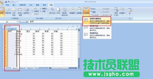怎么让excel表格首行或首列固定不动