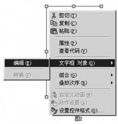 PowerPoint中控件的应用技巧