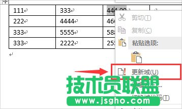 Word达人速成修炼秘笈（全）
