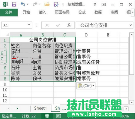 图2　粘贴数据