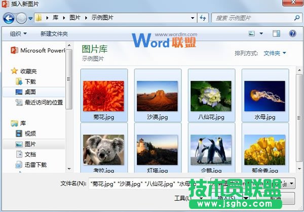 如何批量将图片快速导入到PowerPoint2013中