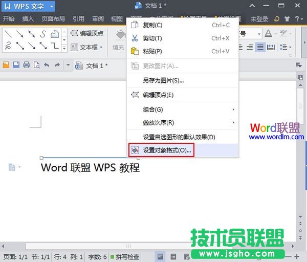 设置对象格式