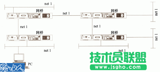 网桥