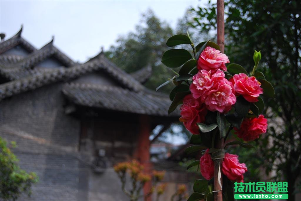 简单易上手的摄影后期软件 一招搞定好照片