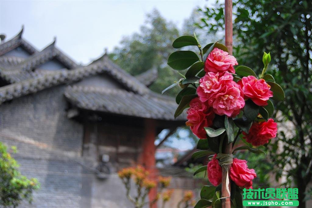 简单易上手的摄影后期软件 一招搞定好照片