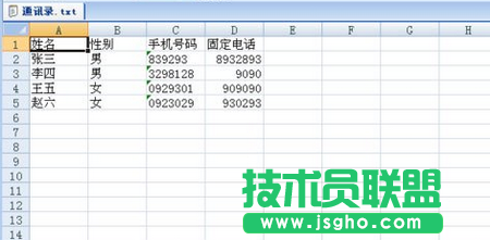 文本转换表格的方法