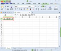 WPS表格2013怎么输入长串数字？