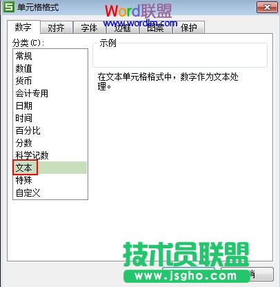 设为文本