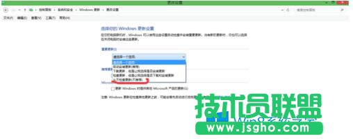 选择“从不检查更新”