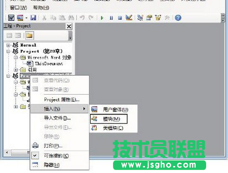 图2　选择“模块”命令
