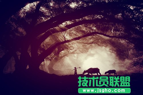 好照片让黑白照片一步营造温暖意境美
