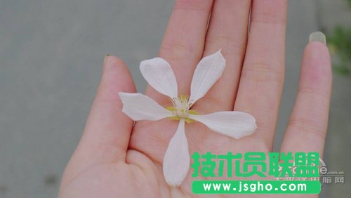 超简单滤镜处理 打造淡雅忧伤系好照片 三联教程