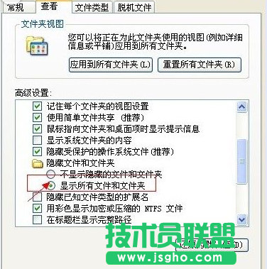 遇到word打不开的问题该怎么办？ 三联