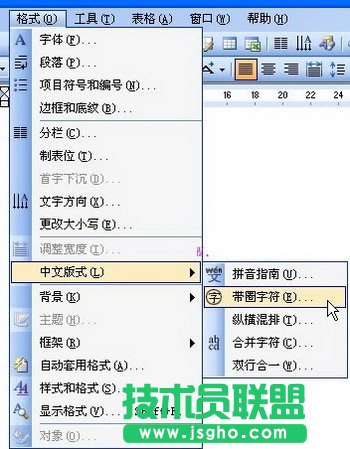 Word带圈数字序号怎么输入？ 三联