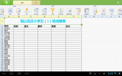 用WPS移动版数据有效性统计学生成绩表