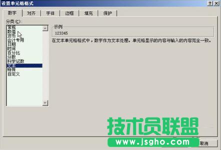 单元格格式