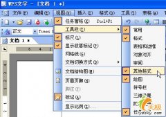 WPS文字怎么给文字加方框