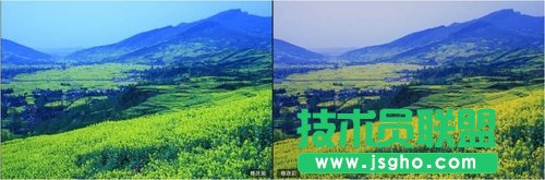 数码后期 一键校正白平衡重获好照片