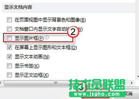 word插入图片显示空白怎么办