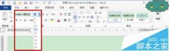 word2013罗马数字字磅的字体怎么改成中文字号?