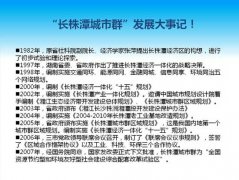 如何处理PPT中大量文字的排版