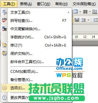 WPS文档保密技巧，保护信息安全