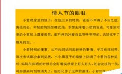 在Word2007中如何给文档页面设置边框和底纹?