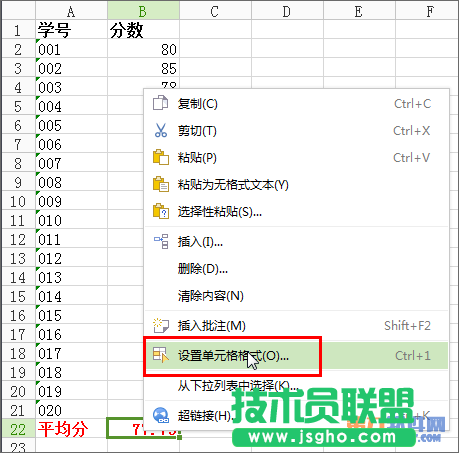 Excel2013 如何隐藏表格中应用的公式