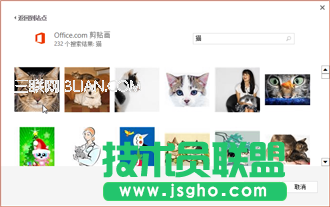 剪贴画网站上的猫图片示例