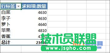 Excel教程 怎样设置数据透视表字段分组方法