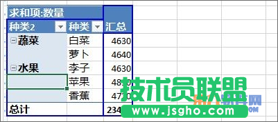 Excel教程 怎样设置数据透视表字段分组方法
