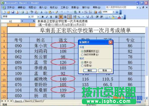 如何使用有效性画出Excel指定数据