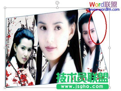 PowerPoint2010中如何任意编辑图片的顶点