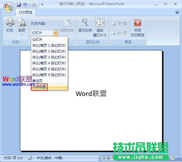 大纲视图