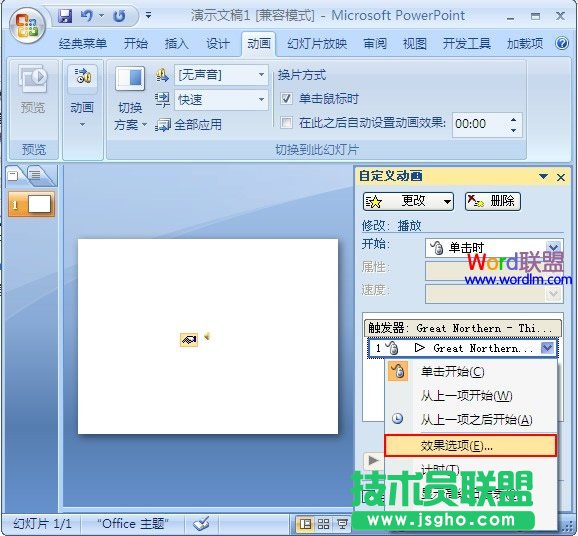 效果选项