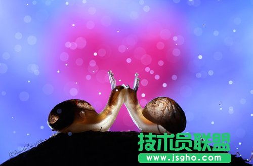 好照片七夕趣味测试：如何表白能成功