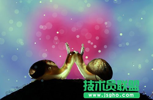 好照片七夕趣味测试：如何表白能成功