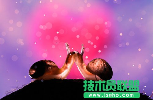 好照片七夕趣味测试：如何表白能成功